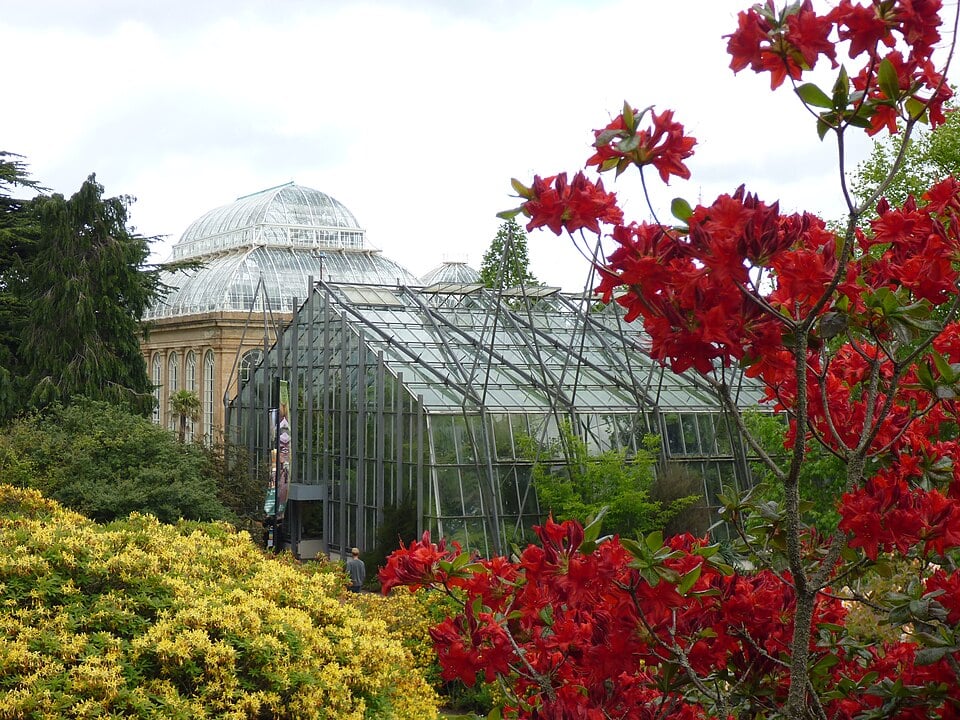 Glasshouses and azaleas at the Royal Botanic Garden Edinburgh